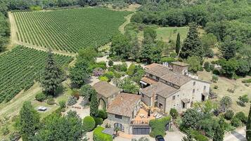 Una proprietà rurale con una casa in pietra circondata da vigneti, un vialetto e un'auto.
