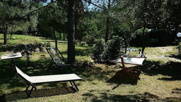 Un espacio al aire libre con césped, dos sillones de descanso y una hamaca.