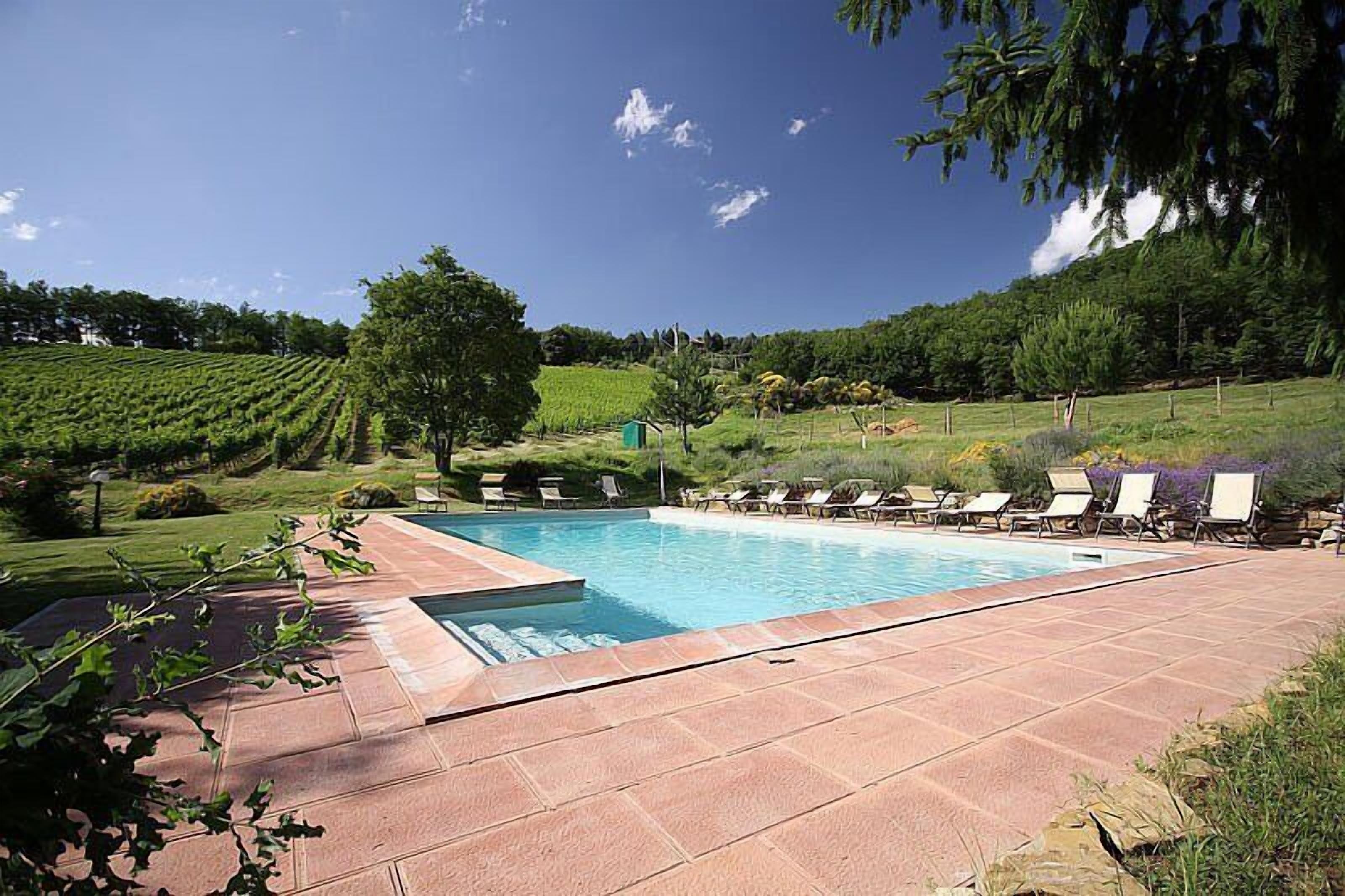 Una piscina con lettini prendisole e vista su un vigneto.