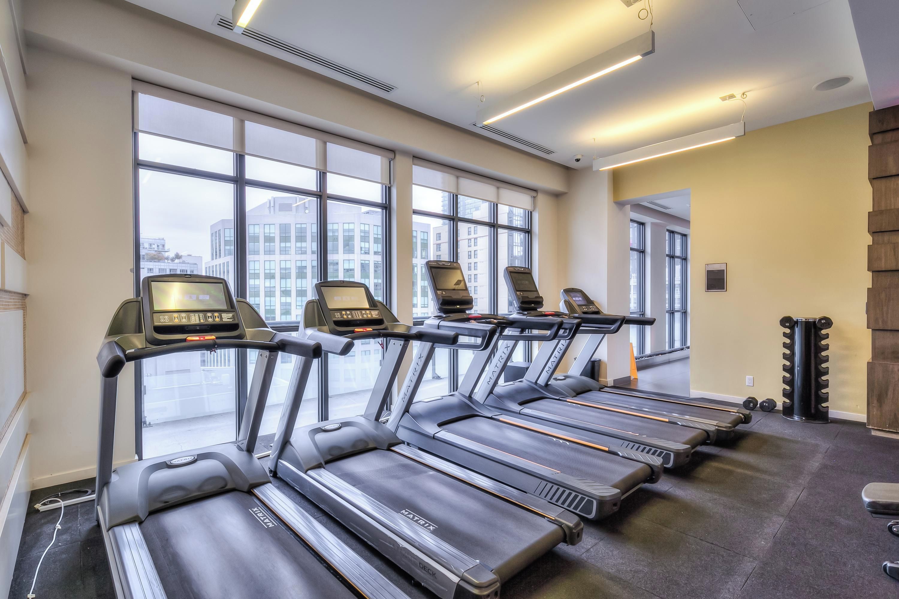 Un gimnasio con cintas de correr dispuestas frente a una pared con ventanas amplias.