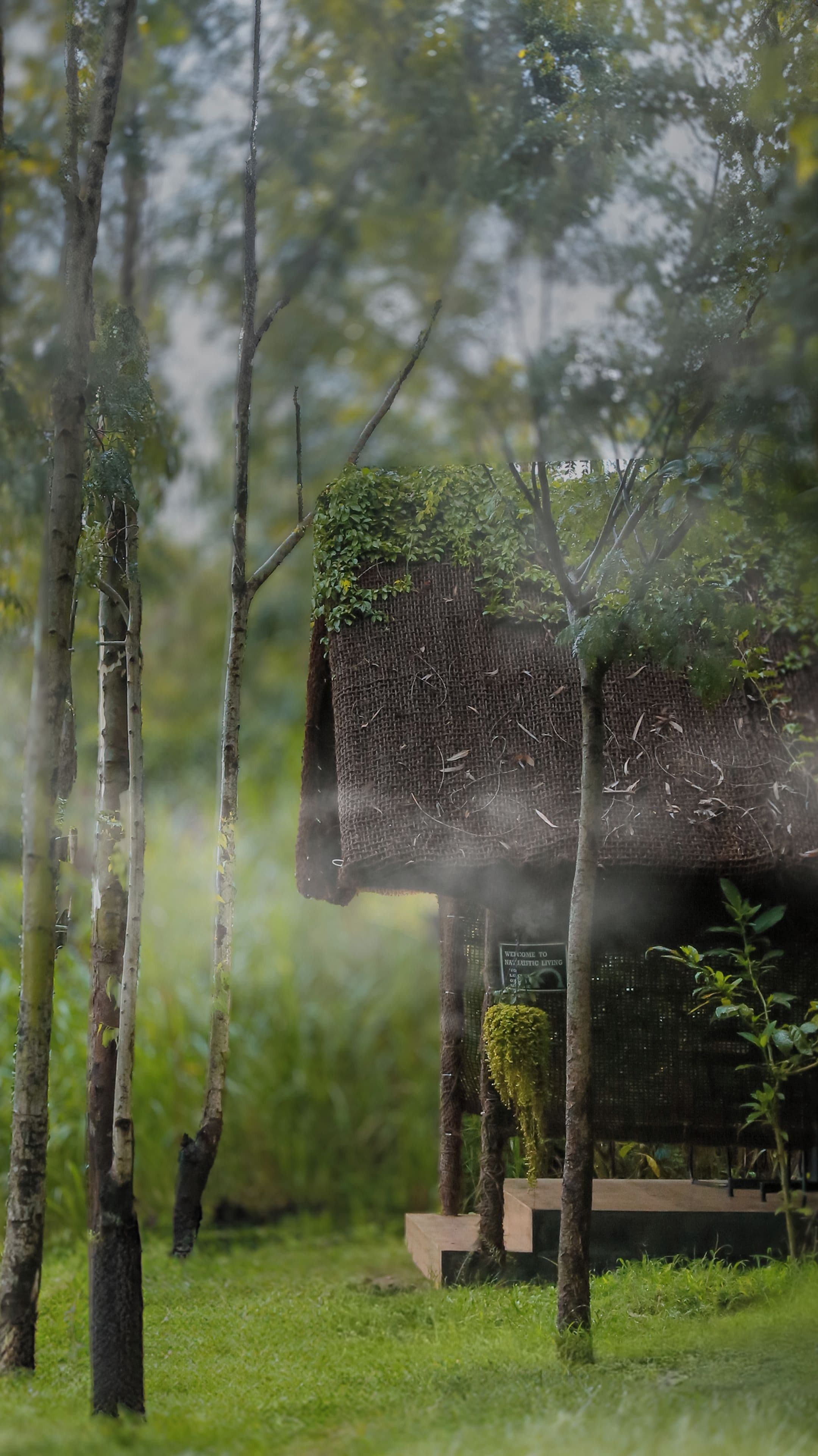 A treehouse with a sign welcoming visitors, surrounded by trees and greenery.