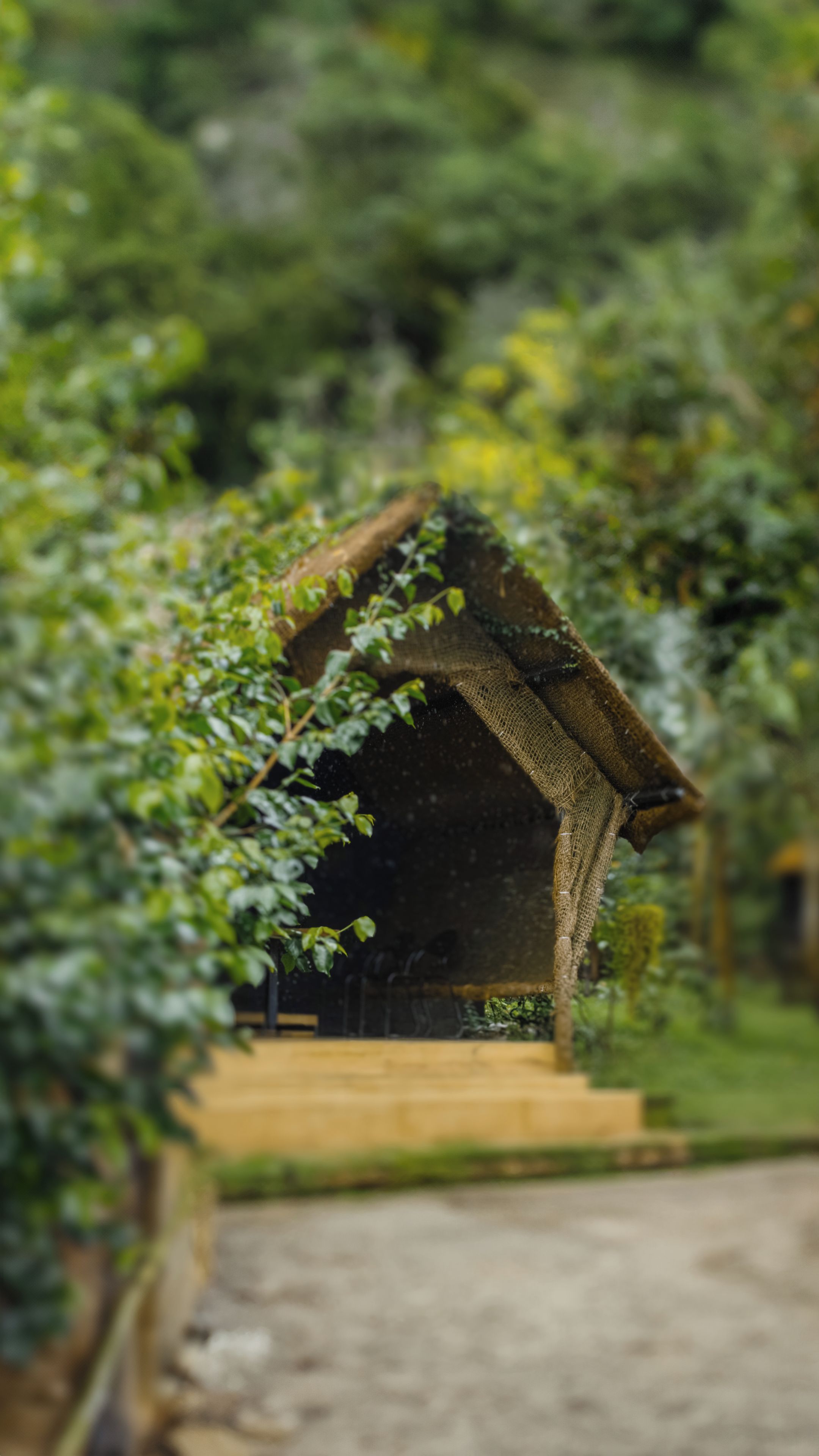 A rustic wooden structure with a thatched roof, surrounded by lush greenery.