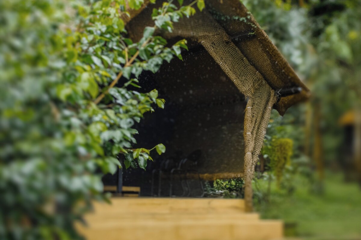 Una estructura de madera rústica con techo de paja, rodeada de abundante vegetación.