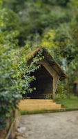 Una estructura de madera rústica con techo de paja, rodeada de abundante vegetación.