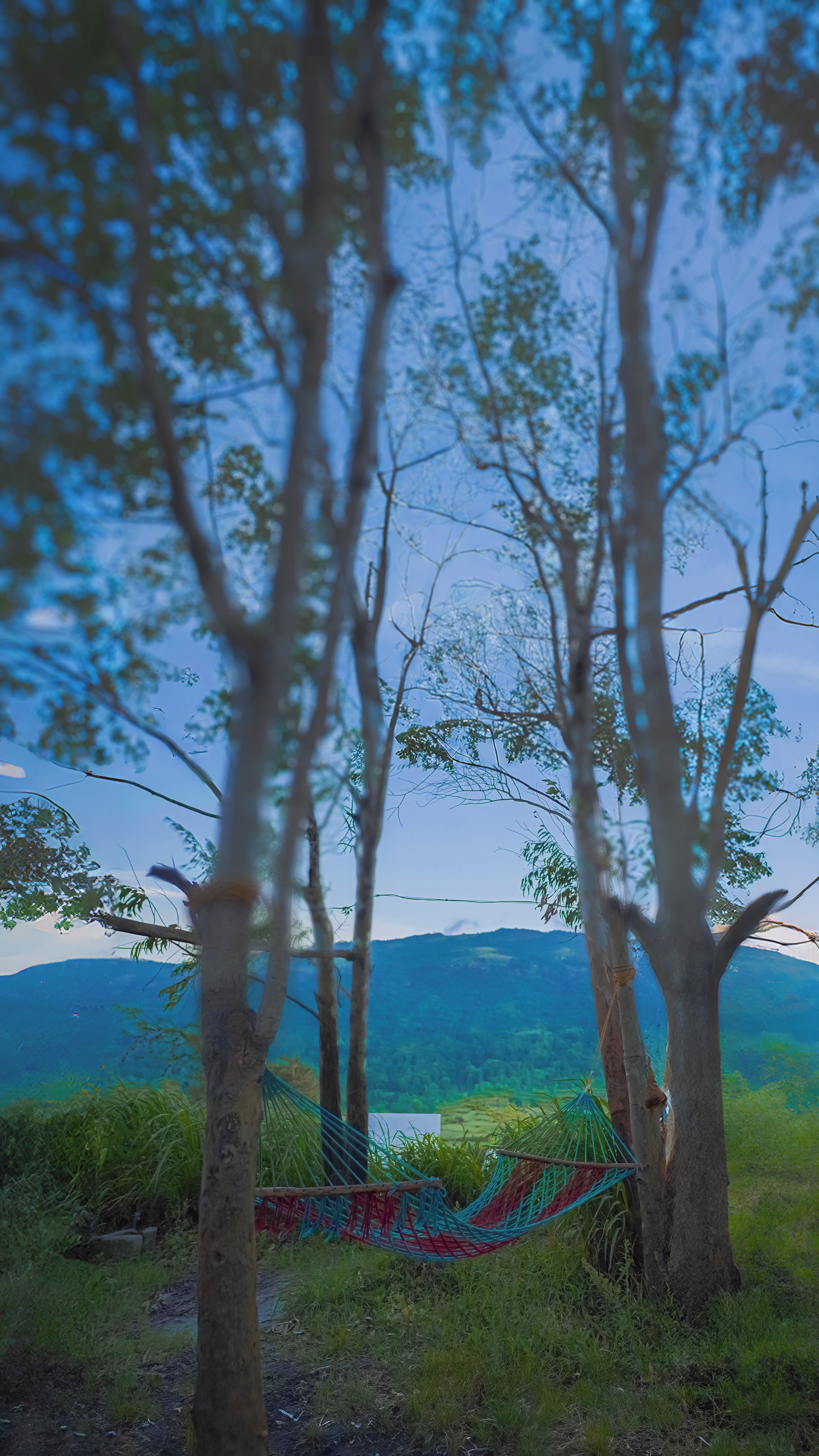 A hammock between trees overlooking a mountainous landscape.