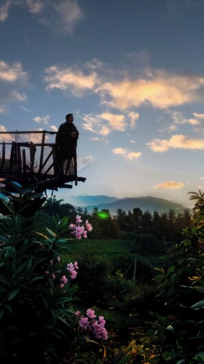 A person standing on a balcony overlooking a mountainous landscape with a clear sky.