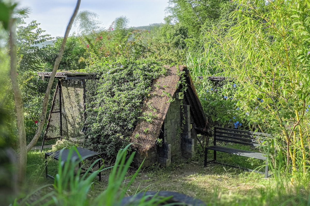 Entorno rústico al aire libre con una estructura de madera, un banco y abundante vegetación.