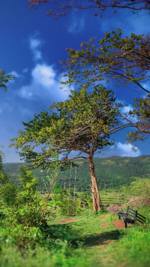 Un árbol con cielo despejado y colinas distantes a la vista.