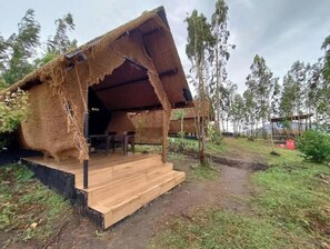 Standard Room | Property grounds - Shining Caves Resort (Palakkad)