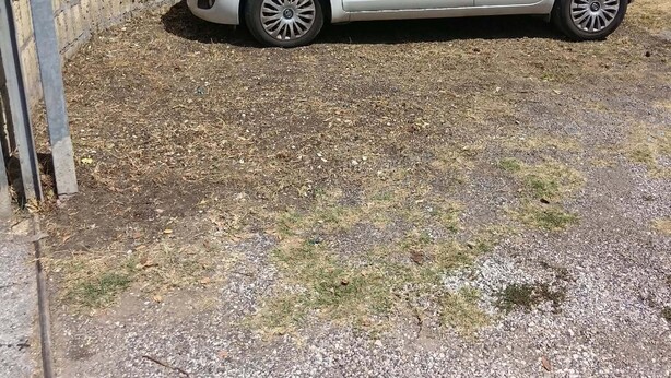 Een witte auto geparkeerd in een grindgebied, met een metalen hek op de achtergrond.