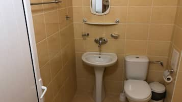 A small bathroom with a sink, toilet, and a mirror.