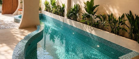 A modern indoor swimming pool with a tiled edge, surrounded by plants and a wooden door.