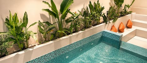 A swimming pool with a tiled edge and a planter with various plants along the wall.