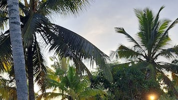 Exterieur