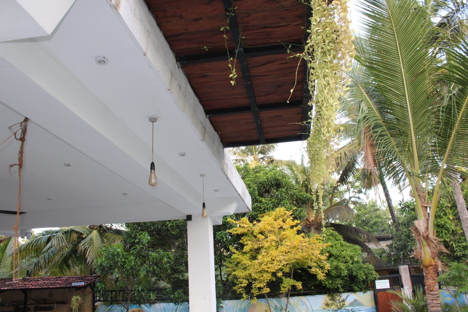 A covered outdoor area with hanging plants, a white ceiling, and a wooden beam structure.