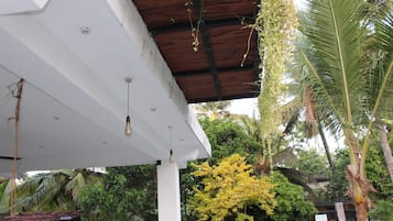A covered outdoor area with hanging plants, a white ceiling, and a wooden beam structure.