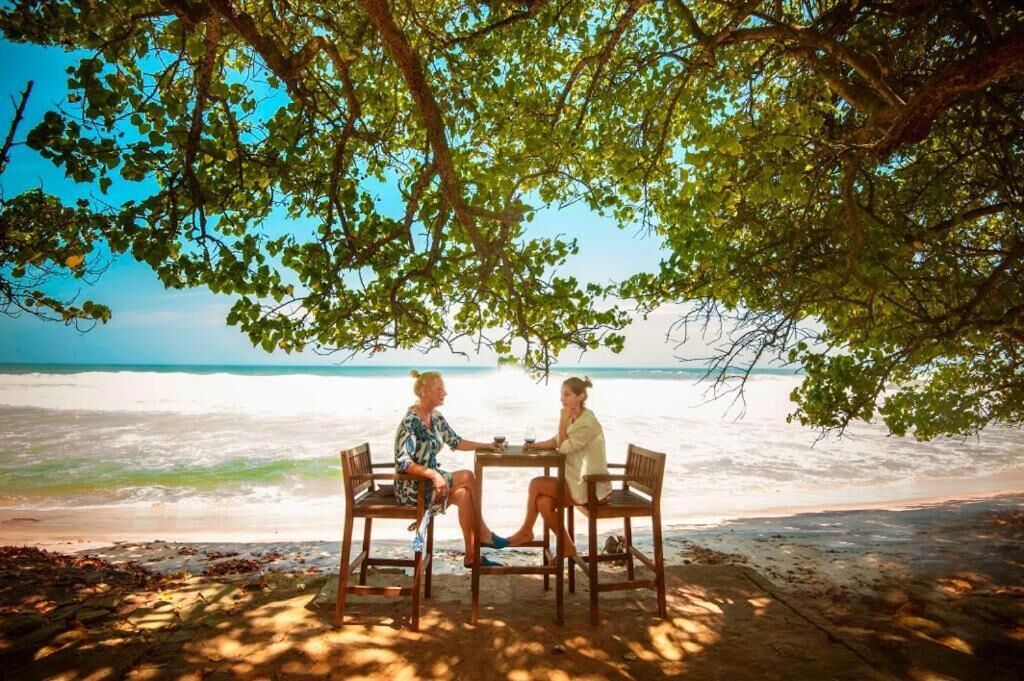 Two people seated at a table under a tree by the beach.