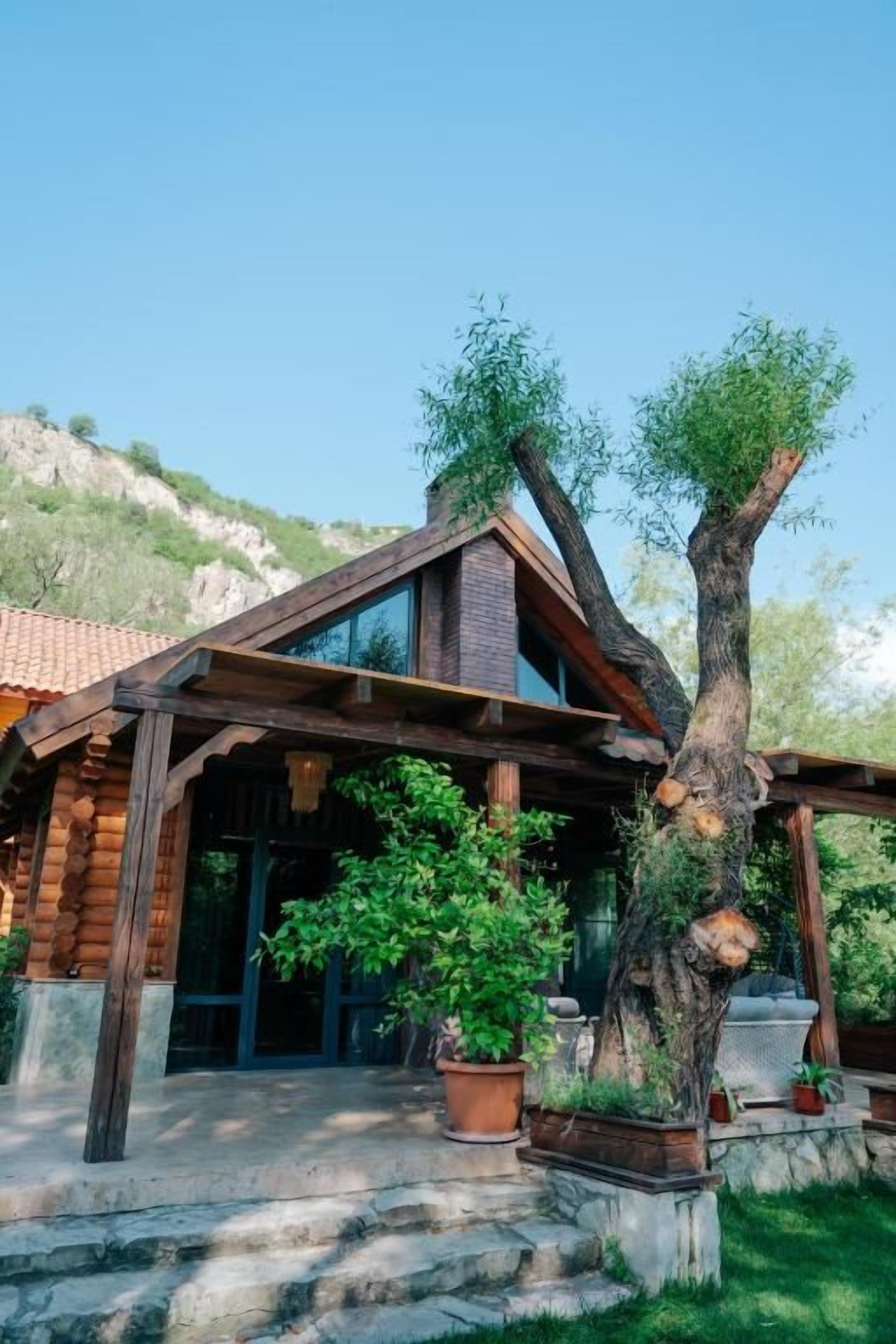 A rustic wooden building with a sloped roof, a stone staircase leading to the entrance, and potted plants around the structure.