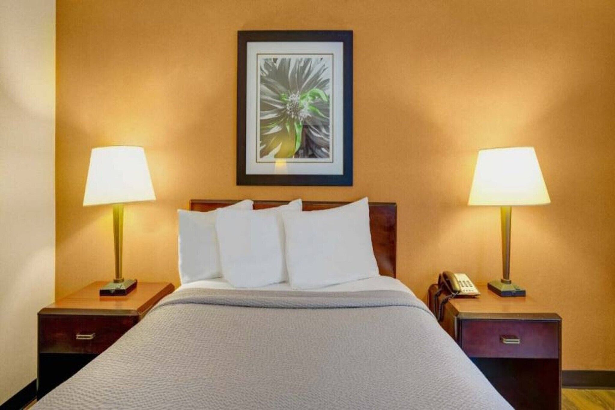 Quarto de hotel com uma cama, duas mesas de cabeceira, duas luminárias, um quadro na parede e um telefone em uma das mesas.