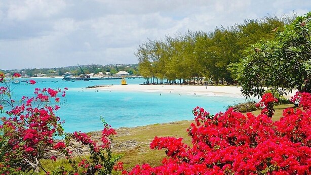 A coastal landscape with a beach, clear blue water, and lush greenery.