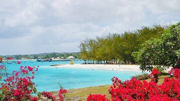 A coastal landscape with a beach, clear blue water, and lush greenery.