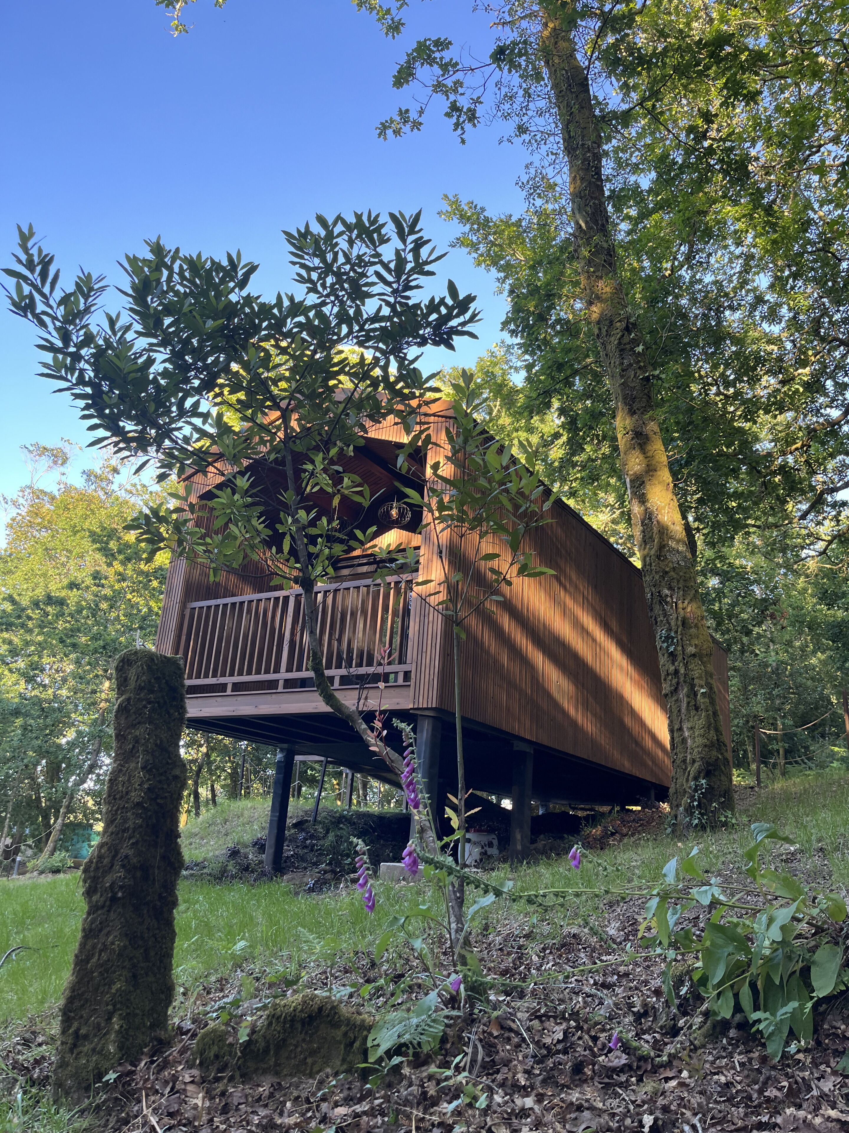 Une structure en bois dotée d’un balcon, entourée d’arbres et de verdure.