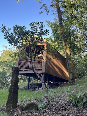 Una estructura de fusta amb un balcó, envoltada d'arbres i vegetació.