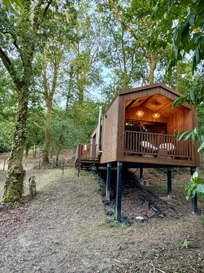 A wooden treehouse with a balcony and a single window, surrounded by dense foliage.