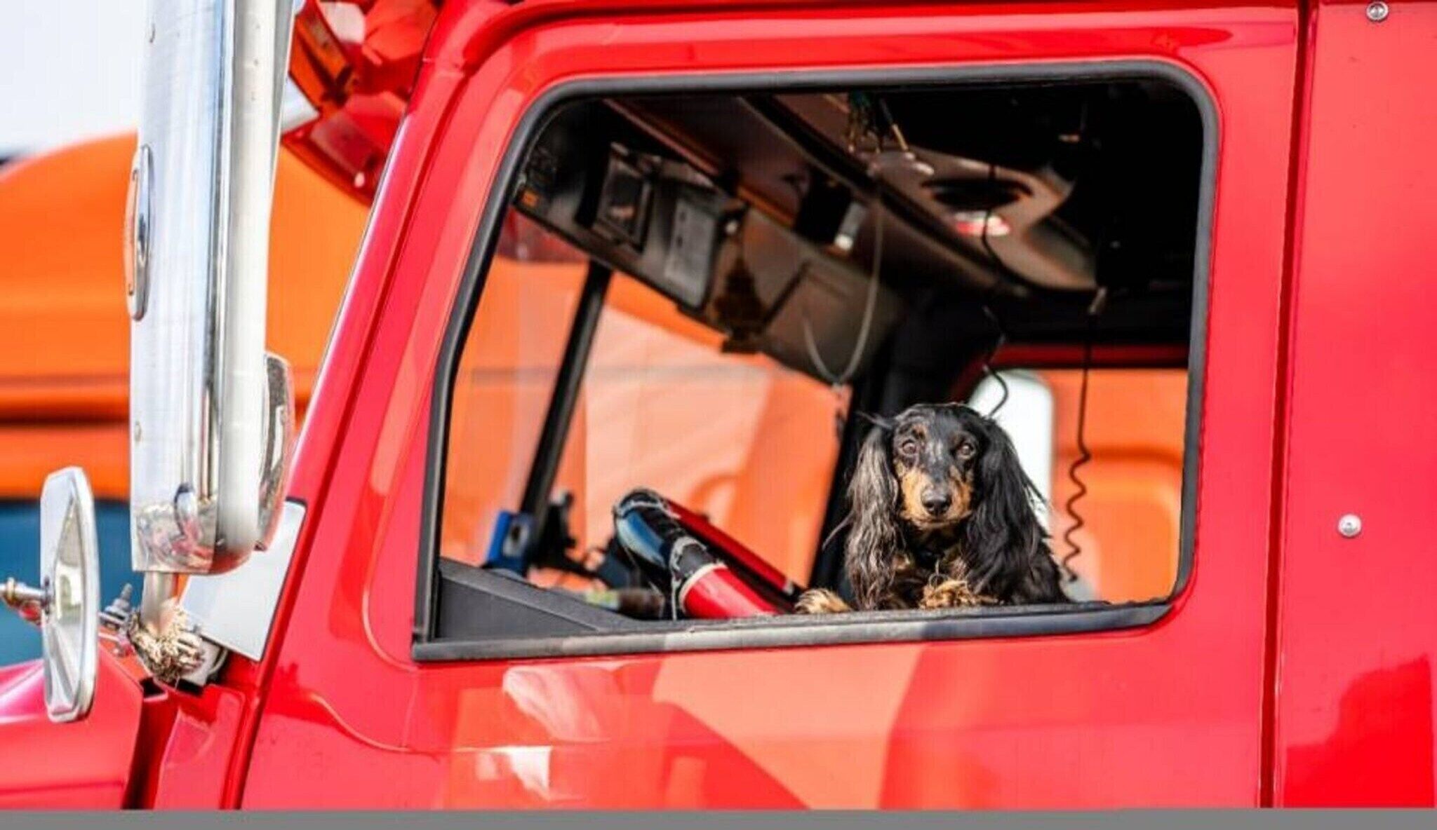 Una camioneta roja con un perro en el asiento del pasajero.