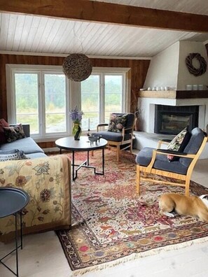 Ein gemütliches Wohnzimmer mit Kamin, großen Fenstern und einem Hund.