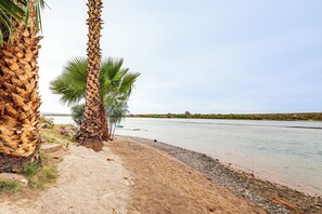 Une plage bordée de palmiers et traversée par une rivière paisible.