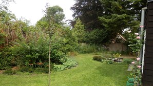 Ein gepflegter Garten mit verschiedenen Pflanzen und einem kleinen Baum in der Mitte.
