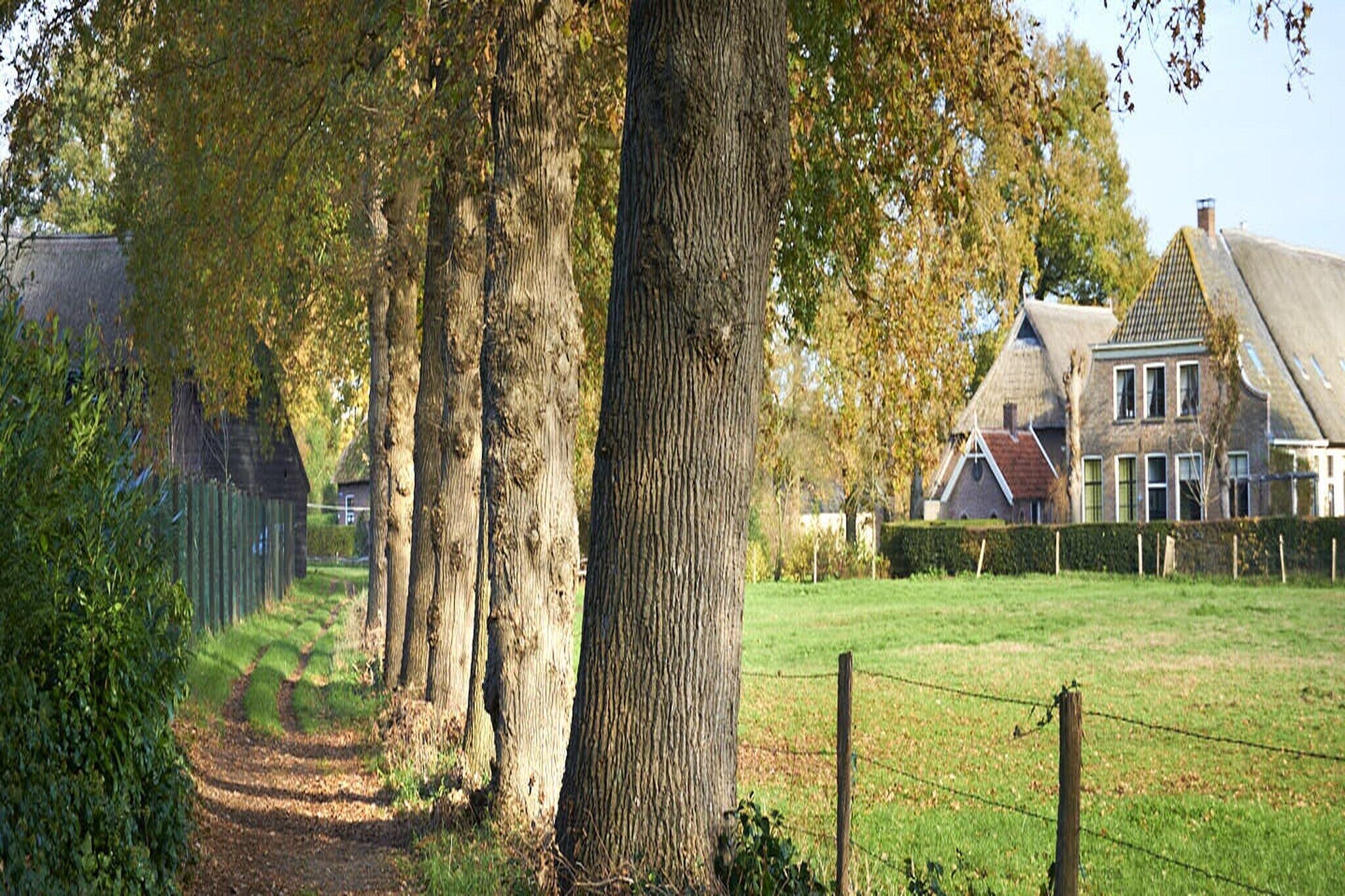 A rural landscape with a pathway leading to a house with a thatched roof.