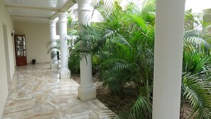 A corridor with white columns, a tiled floor, and lush green plants. - Unique house with an interior garden and a view of the Pyrenees mountain range (Toujouse)