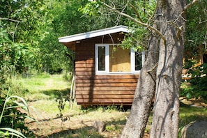 A small wooden cabin with a single window, surrounded by trees and grass. - Hand-built timber and clay cottage by Bøtøskoven (Gedser)