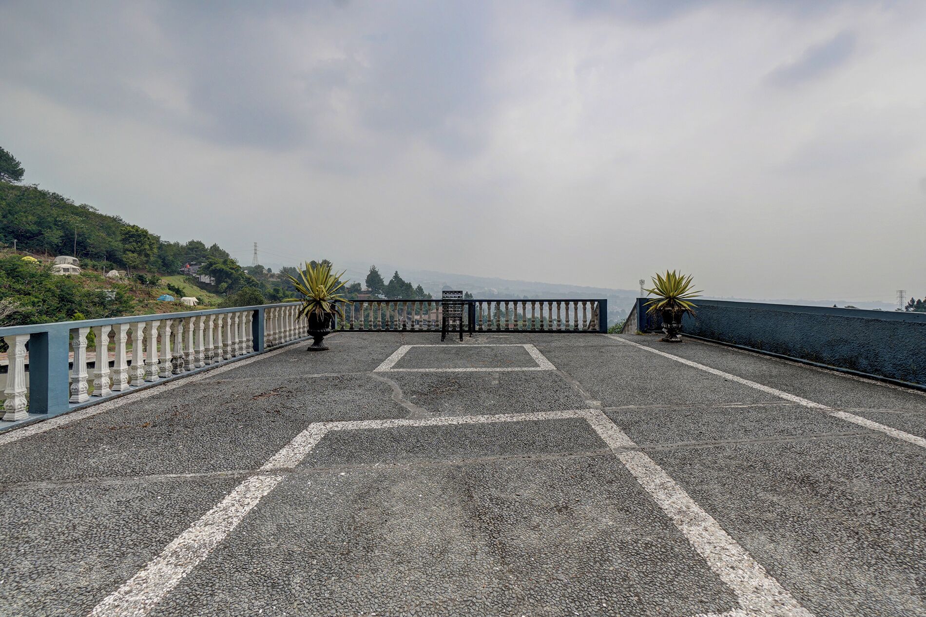 A paved area with a railing, two potted plants, and a view of the sea.