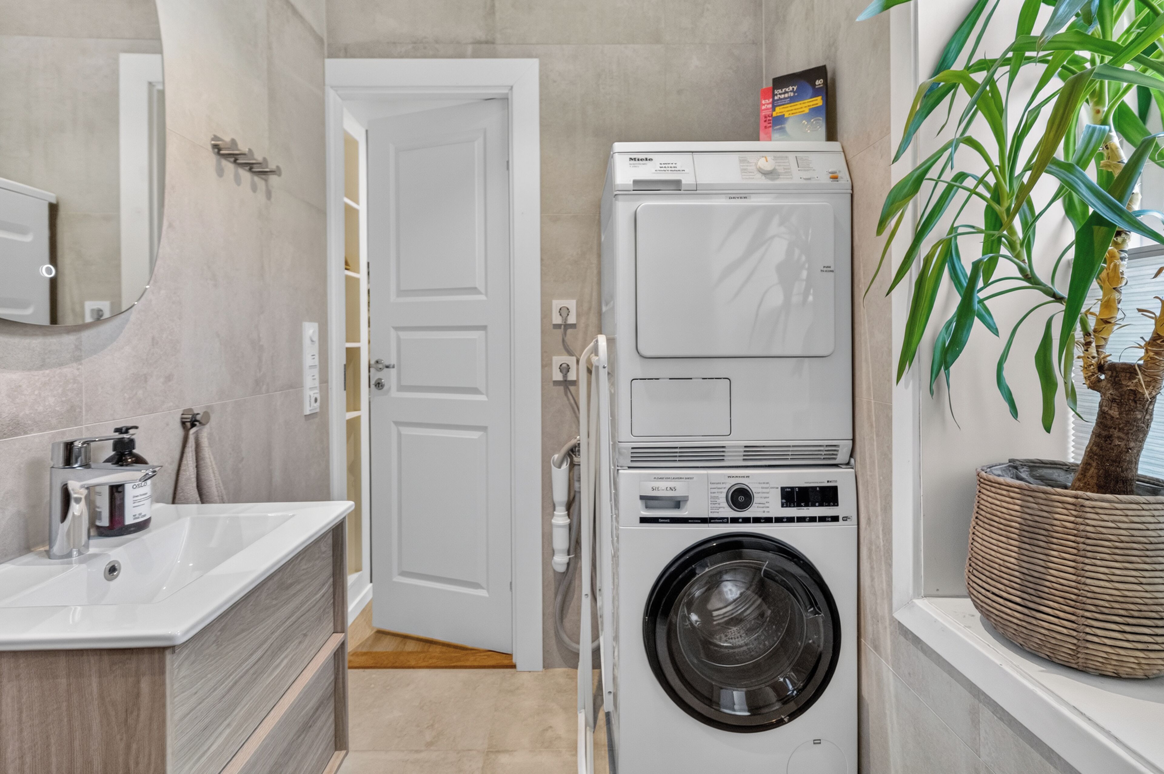 A compact laundry room with a front-loading washing machine, a sink with a soap dispenser, and a potted plant.
