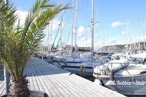 Ein Yachthafen mit mehreren Segelbooten, einem Holzdeck und einer Palme.