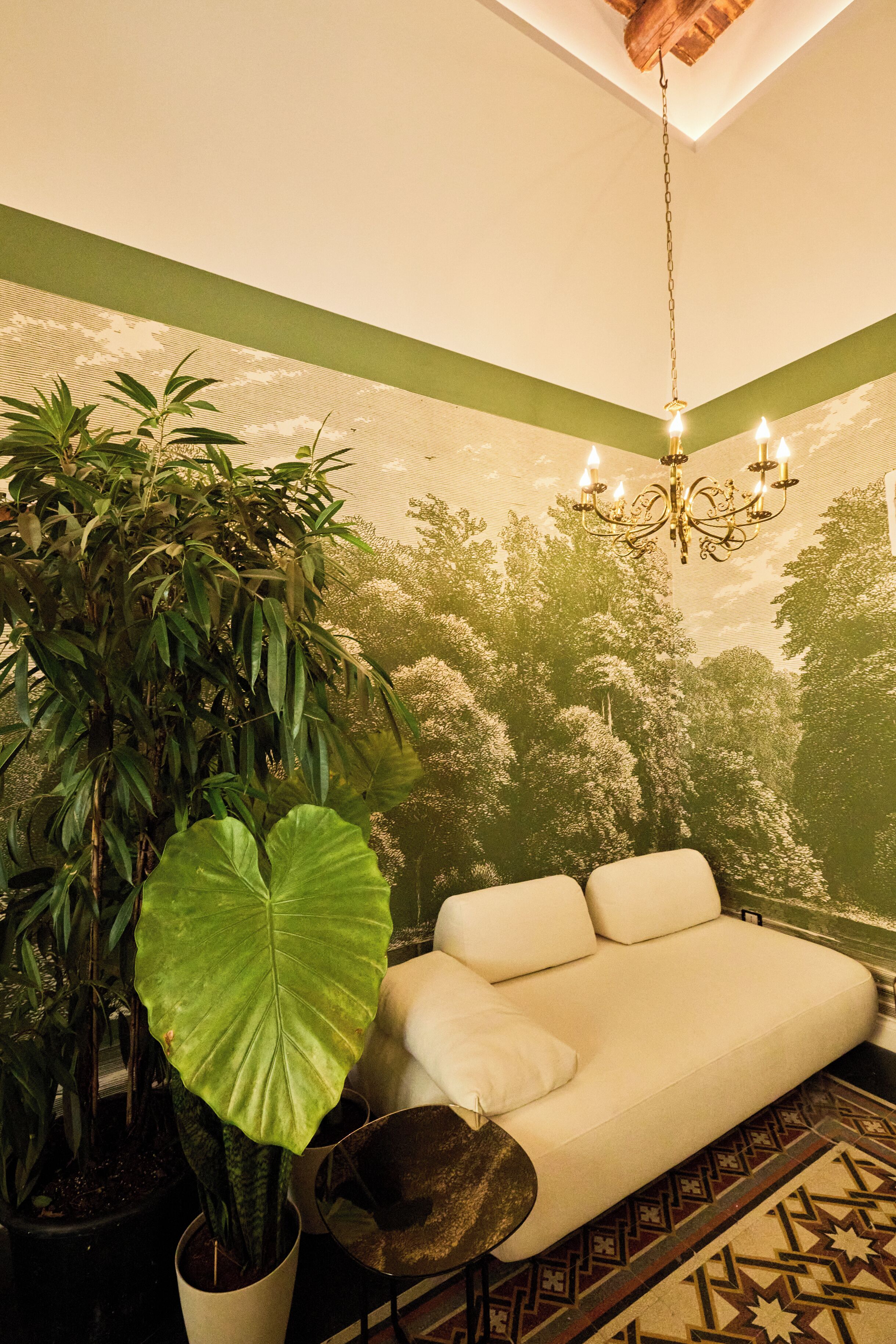 A room with a sofa, a large potted plant, a chandelier, and a patterned floor.