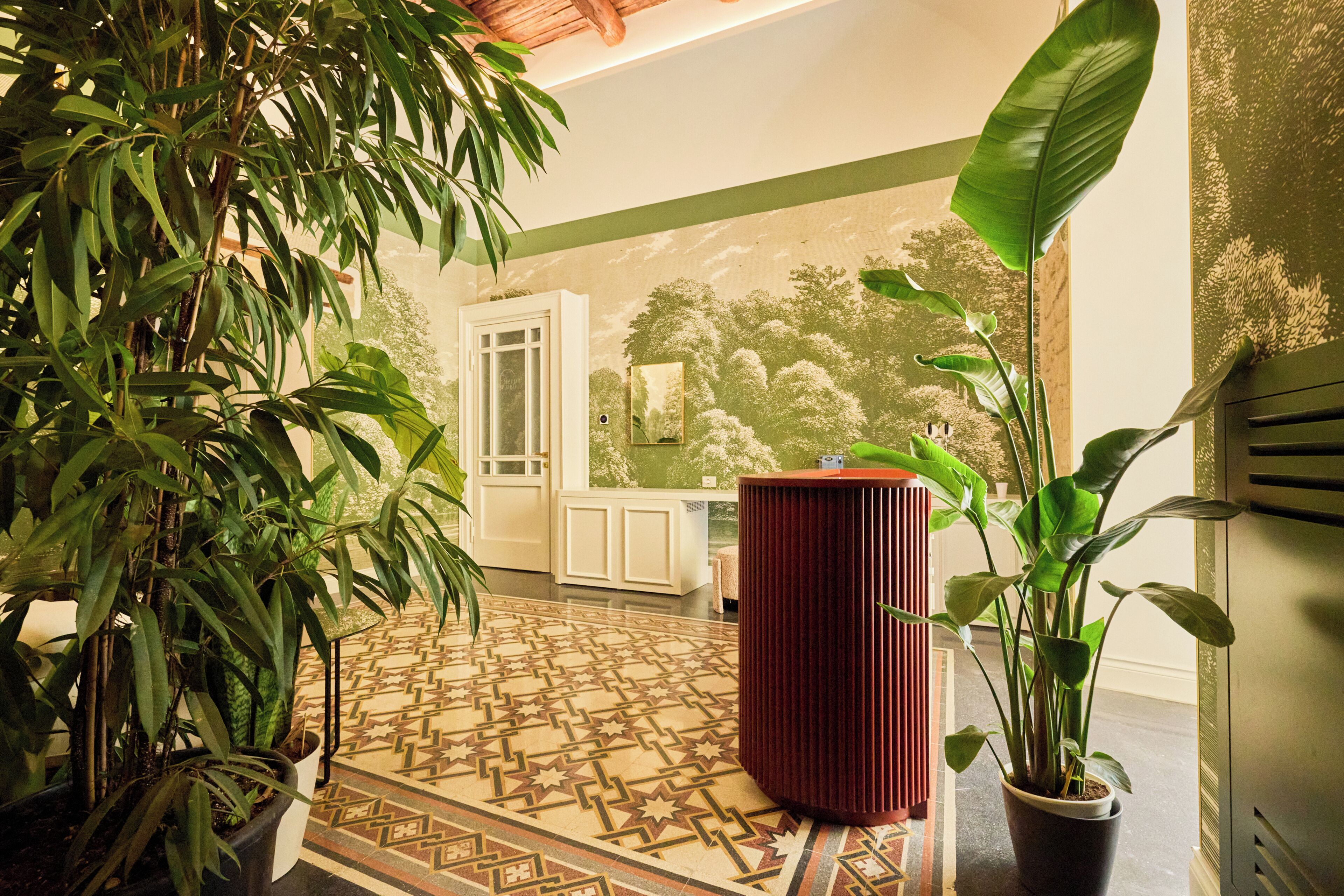 A hallway with patterned flooring, a wooden door, and potted plants.