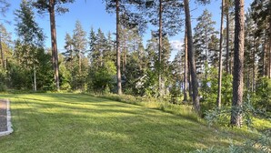 Un espace extérieur verdoyant, avec de grands arbres et un ciel dégagé.