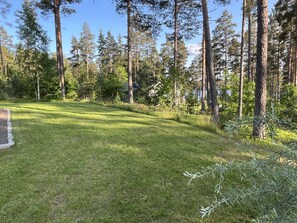 Eine grüne Rasenfläche mit hohen Bäumen und blauem Himmel.
