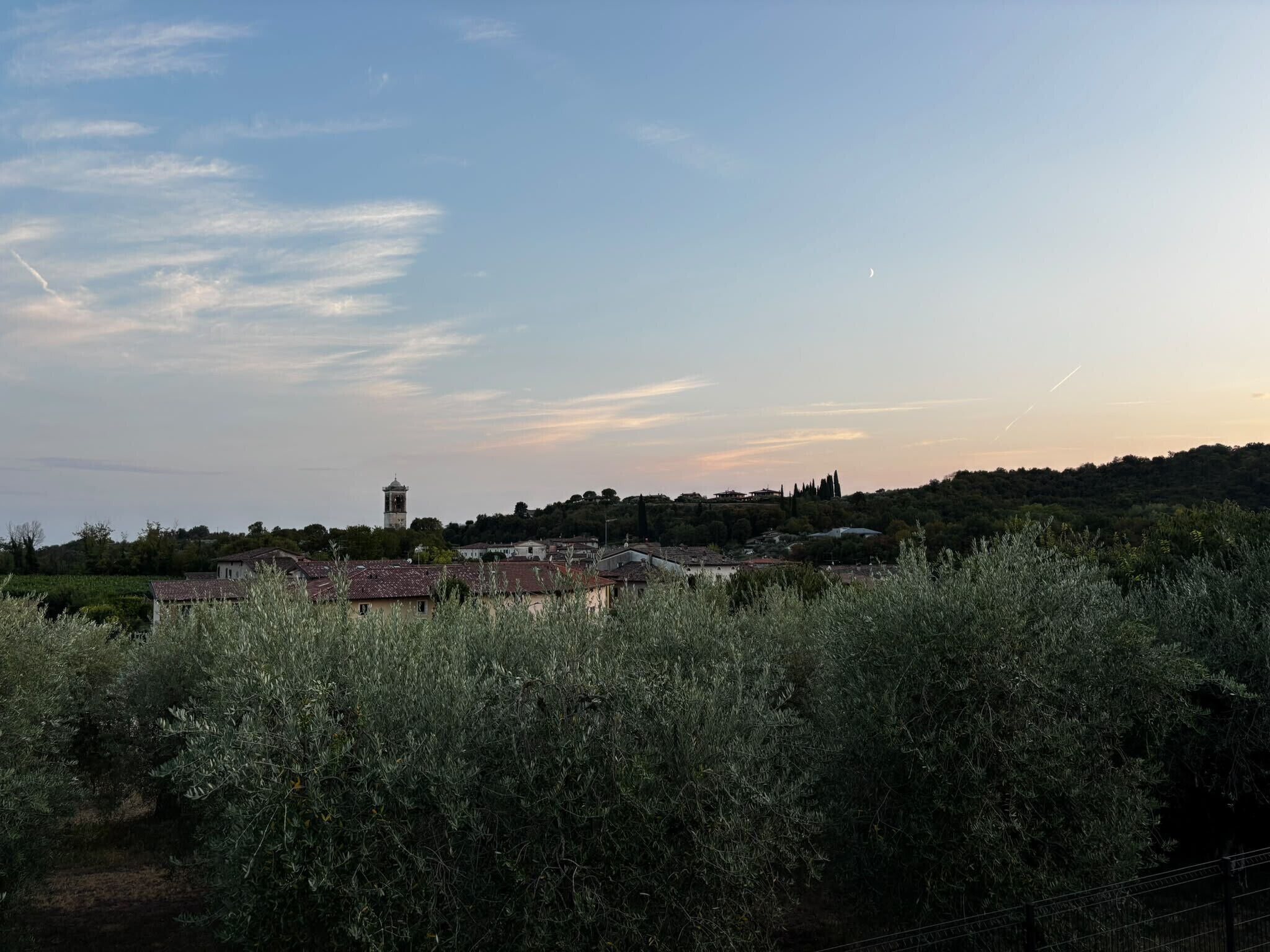Un paysage rural caractérisé par des oliveraies, une tour et un village à l’architecture traditionnelle.