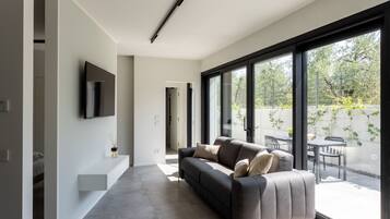 A modern living room with a sofa, a flat-screen TV, and large windows.