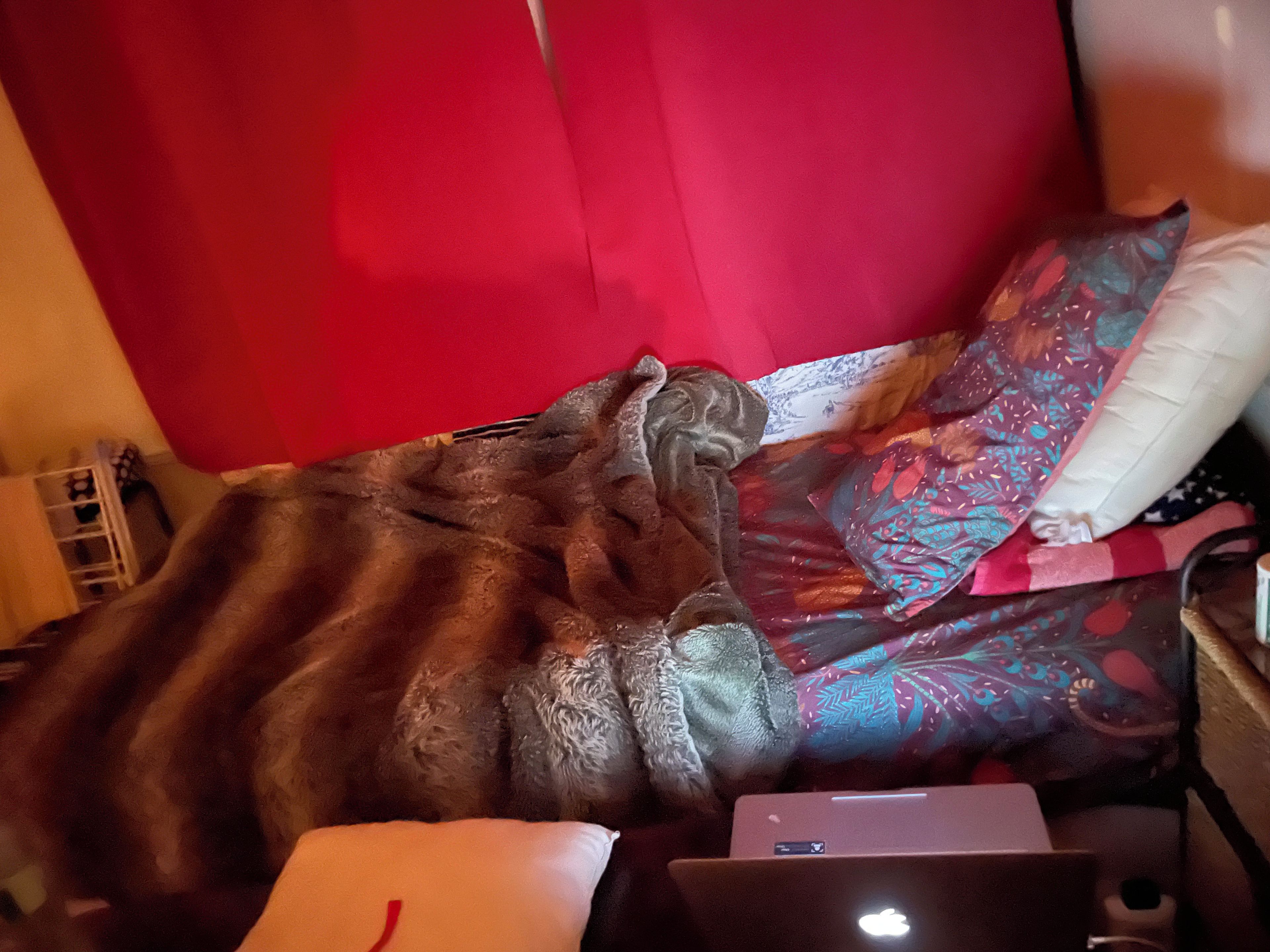 A bed with a blanket, pillows, and a laptop on a table.