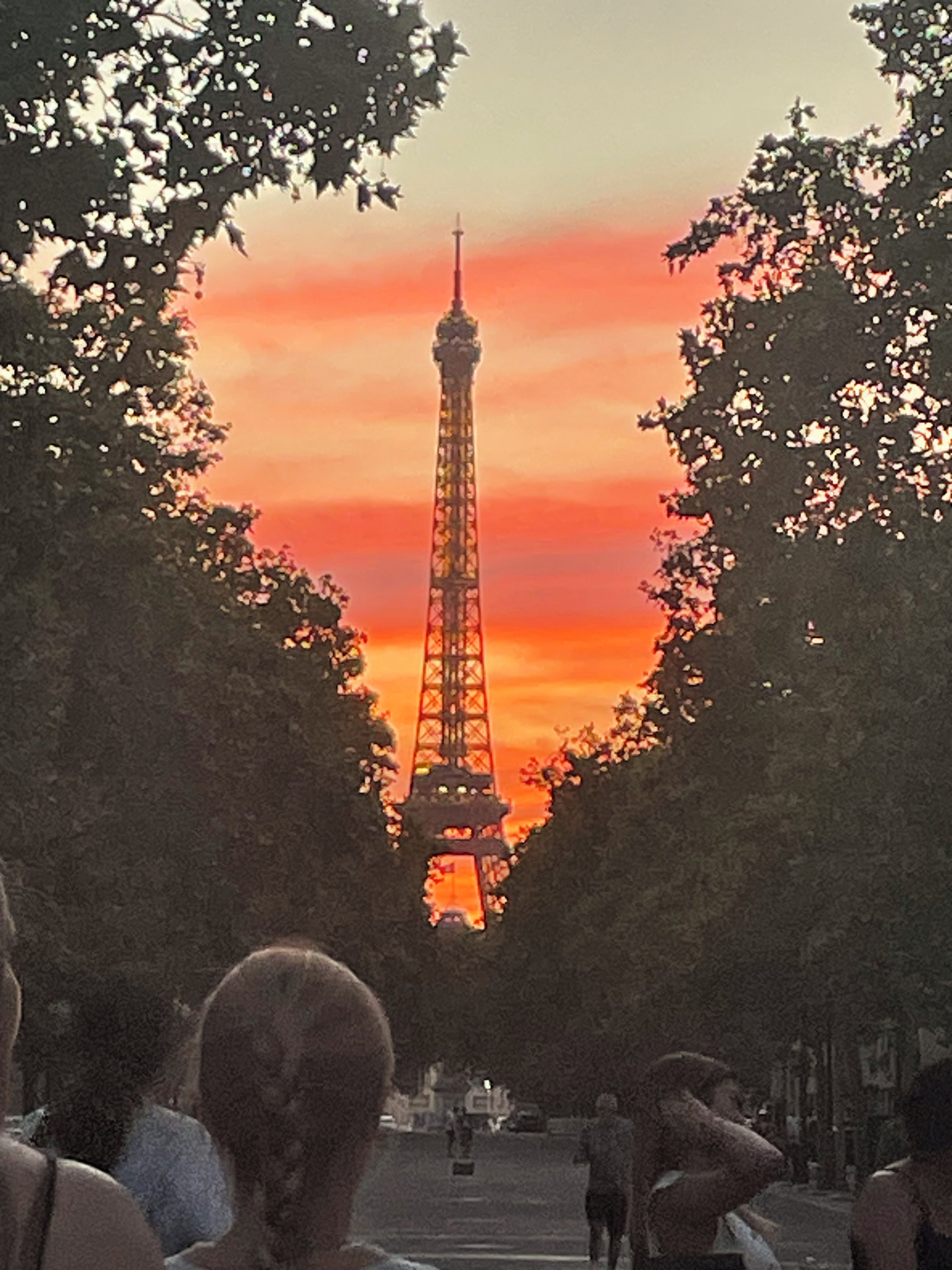 A view of the Eiffel Tower at sunset with trees framing the scene.