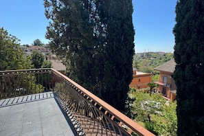 Un balcone con ringhiera in metallo che si affaccia su una zona residenziale con case e alberi.