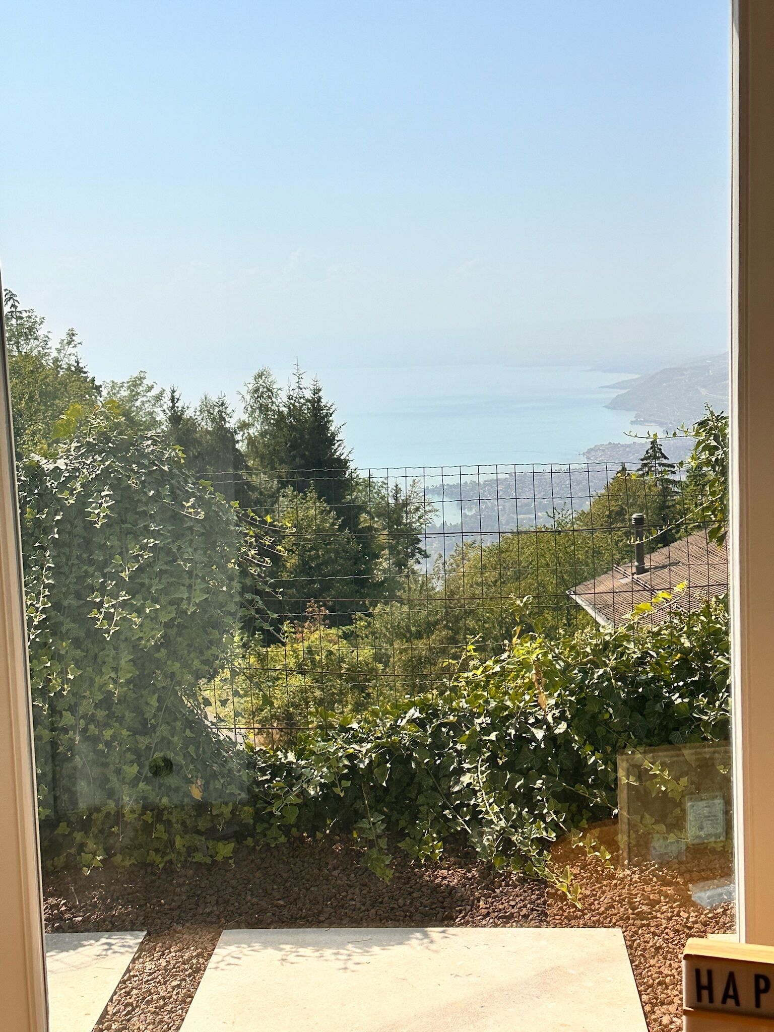 Blick durch ein Fenster mit Metallzaun, Grünpflanzen und weiter Wasserfläche.