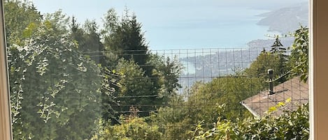 A view through a window with a metal fence, greenery, and a distant body of water.