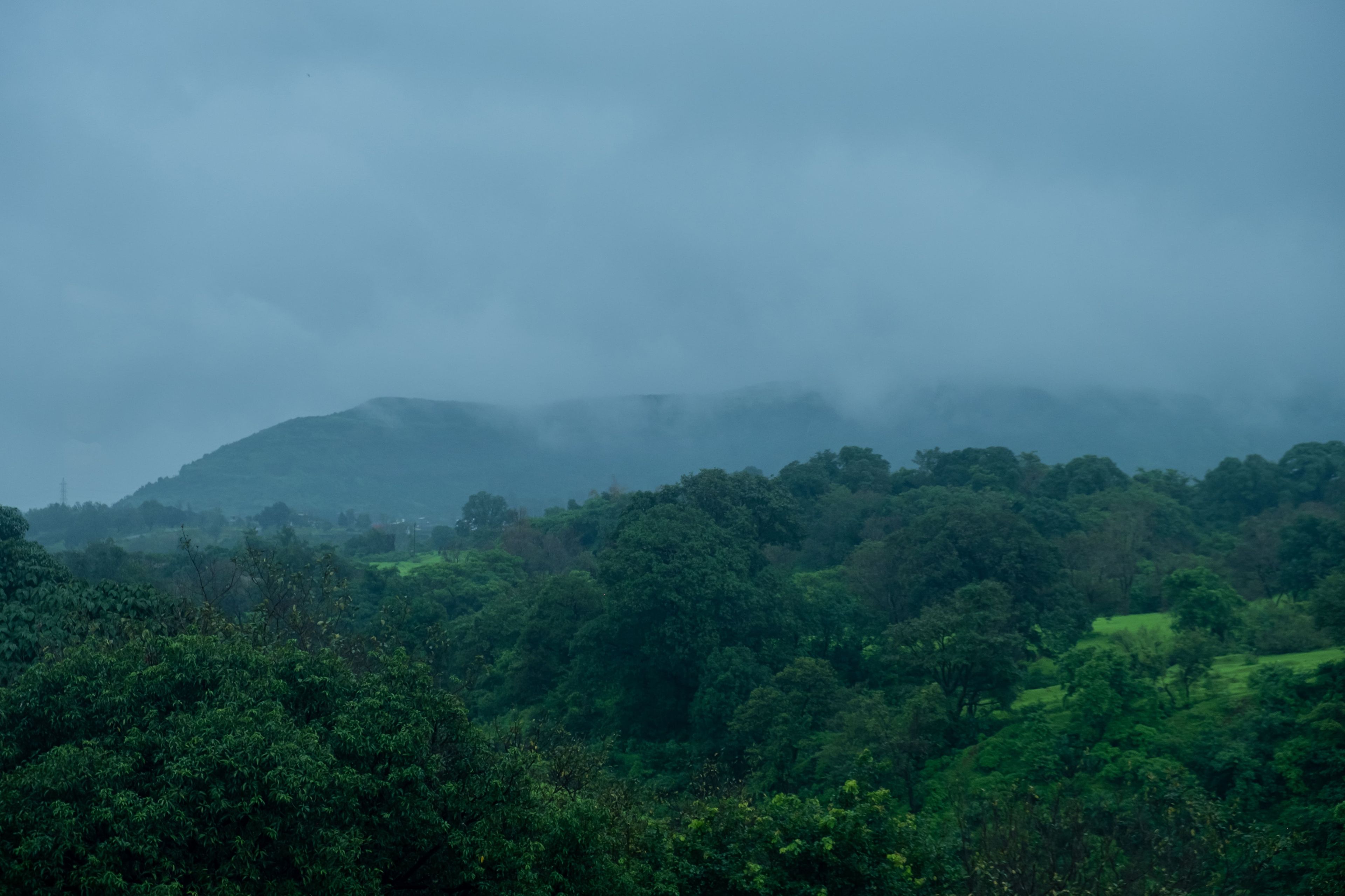 A landscape with a hill and dense green foliage.